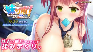 妹サポ!2020年8月28日発売 3,200円(税抜) 予約受付開始!